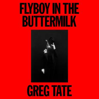 Flyboy in the Buttermilk: Essays on Contemporary America