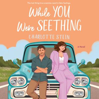 While You Were Seething: A Novel