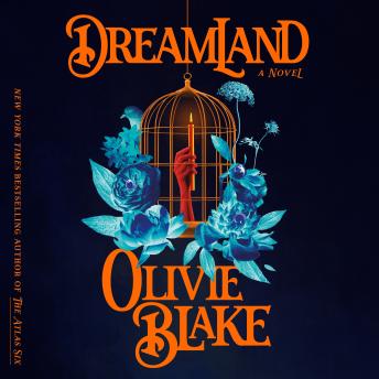 Dreamland: A Novel