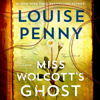 Miss Wolcott's Ghost: A Novel