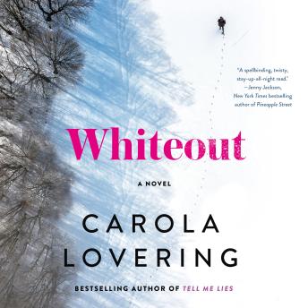 Whiteout: A Novel