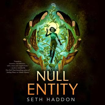 Null Entity