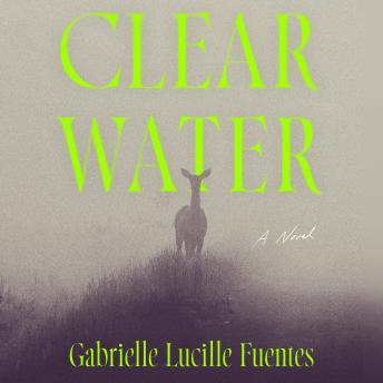 Clear Water: A Novel