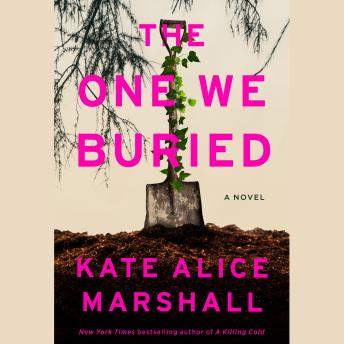 The One We Buried: A Novel