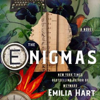 The Enigmas: A Novel