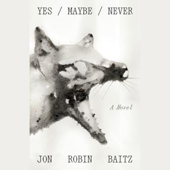 Yes/Maybe/Never: A Novel