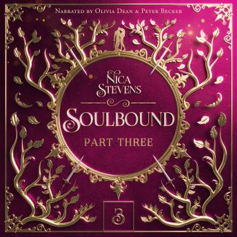Soulbound, Part Three: The Shadows of Memory