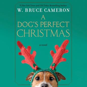 A Dog's Perfect Christmas