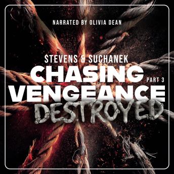 Chasing Vengeance, Part 3: Destroyed