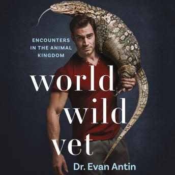 Download World Wild Vet: Encounters in the Animal Kingdom by Evan Antin