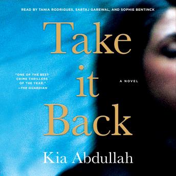 Take It Back: A Novel