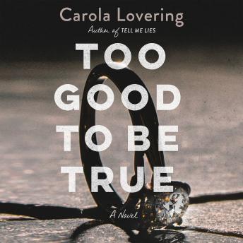 Too Good to Be True: A Novel sample.