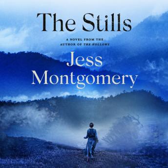 The Stills: A Novel