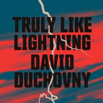 Truly Like Lightning: A Novel