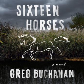 Sixteen Horses: A Novel