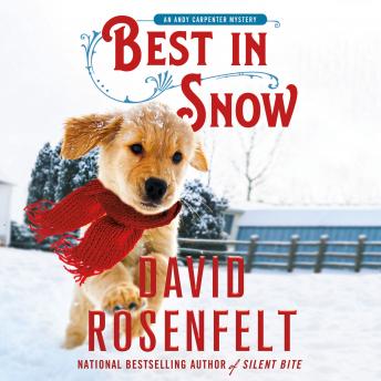 Download Best in Snow: An Andy Carpenter Mystery by David Rosenfelt
