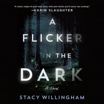 Flicker in the Dark: A Novel sample.