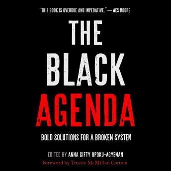 Black Agenda: Bold Solutions for a Broken System sample.