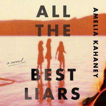 All the Best Liars: A Novel