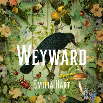 Weyward: A Novel