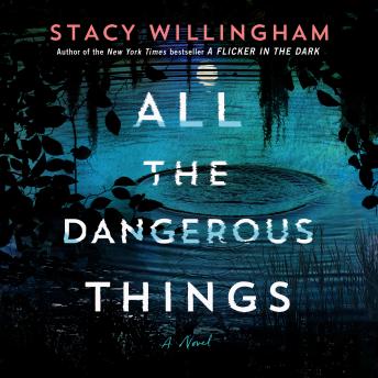 All the Dangerous Things: A Novel sample.