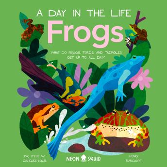Frogs (A Day in the Life): What Do Frogs, Toads, and Tadpoles Get Up to All Day? sample.