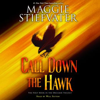 Call Down the Hawk (The Dreamer Trilogy, Book 1) sample.