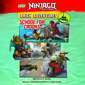 LEGO Ninjago: Brick Adventures #2: School for Crooks, Meredith Rusu