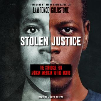 Stolen Justice: The Struggle for African American Voting Rights