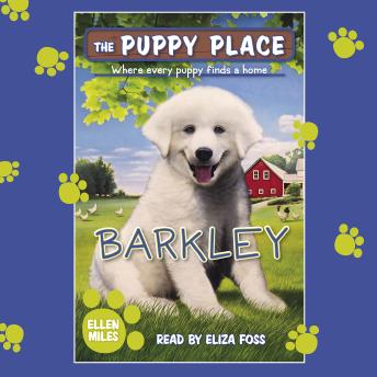 Barkley (The Puppy Place #66)