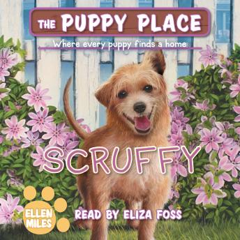 Scruffy (The Puppy Place #67)
