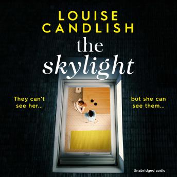 The Skylight: Quick Reads 2021