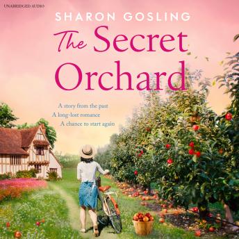 Unlock Into A Edge-Of-Your-Seat Full Audiobook On A Rainy Day.
