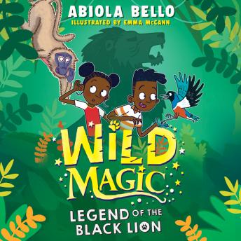 Wild Magic: Legend of the Black Lion - Abiola Bello