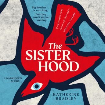 The Sisterhood: Big Brother is watching. But they won't see her coming.