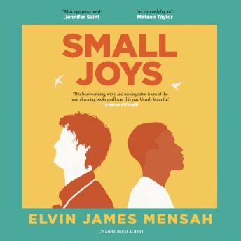Small Joys: A Buzzfeed 'Amazing New Book You Need to Read ASAP'