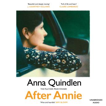 Unlock Top Full Audiobooks in Fiction, Contemporary Women