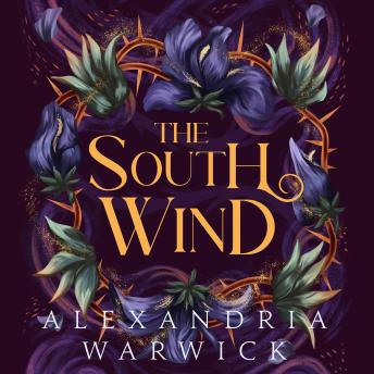 The South Wind: the third instalment in luscious romantasy series The Four Winds, beloved by BookTok!