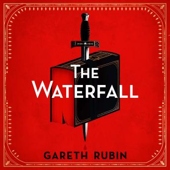 The Waterfall: A beguiling and intricate mystery from Sunday Times bestselling author Gareth Rubin