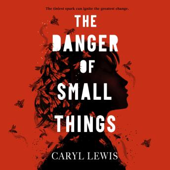 The Danger of Small Things: The YA debut from an award-winning and bestselling Welsh storyteller
