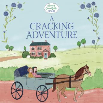 A Cracking Adventure