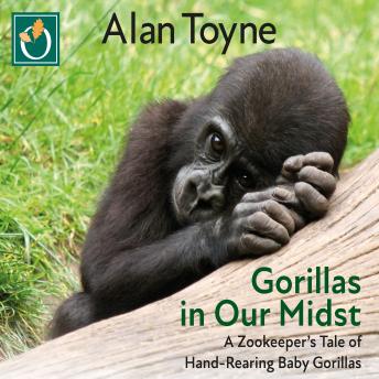 Gorillas in Our Midst: A Zookeeper's Tale of Hand-Rearing Baby Gorillas