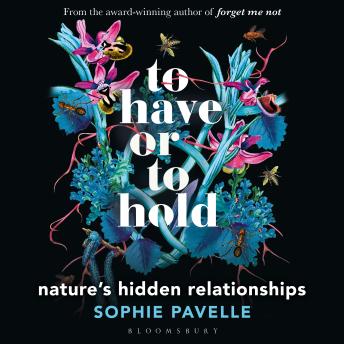 To Have or To Hold: Nature's Hidden Relationships