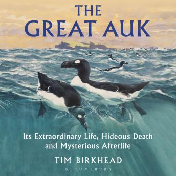 The Great Auk: Its Extraordinary Life, Hideous Death and Mysterious Afterlife - A DAILY TELEGRAPH BOOK OF THE YEAR