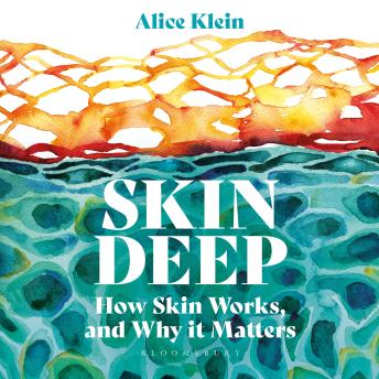 Skin Deep: How Our Skin Works, and Why it Matters