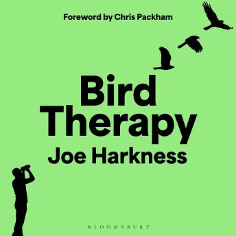 Bird Therapy