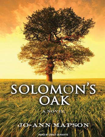 Solomon's Oak: A Novel