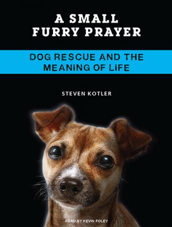 Small Furry Prayer: Dog Rescue and the Meaning of Life sample.
