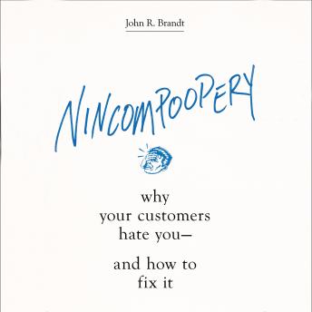 Nincompoopery: Why Your Customers Hate You--and How to Fix It