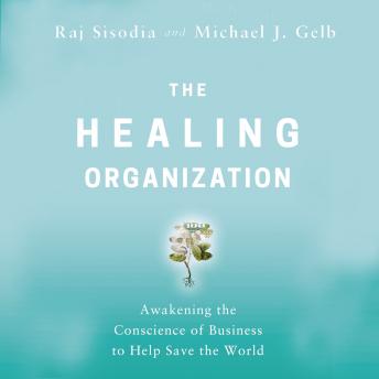 Healing Organization: Awakening the Conscience of Business to Help Save the World sample.